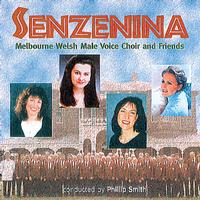 Front cover art for Senzenina