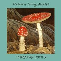 Front cover art for Torquing Points