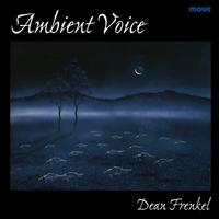 Front cover art for Ambient Voice