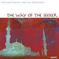 Front cover art for The Way of the Seeker