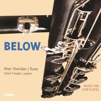 Front cover art for Below: Music For Low Flutes