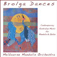 Front cover art for Brolga Dances
