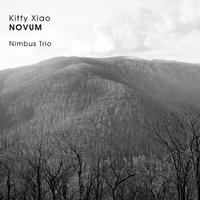 Front cover art for Novum