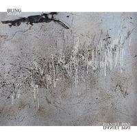 Front cover art for Being