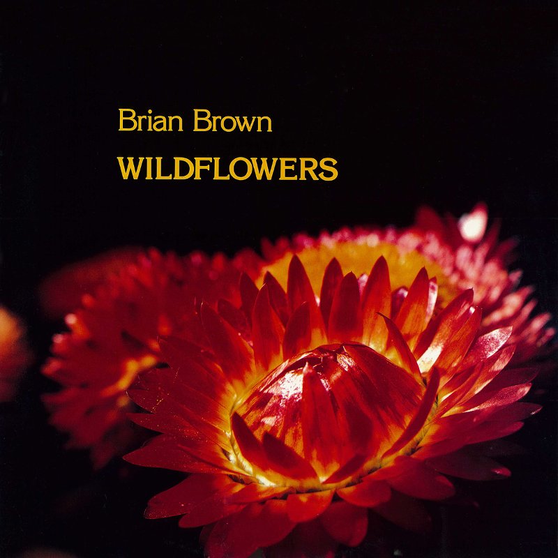Wildflowers cover art