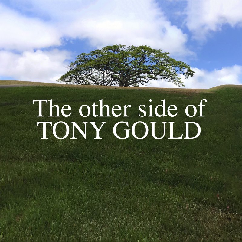 The Other Side of Tony Gould cover art