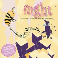 Front cover art for Flight