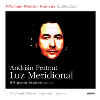 Front cover art for Luz Meridional (Southern Light)