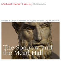 Front cover art for The Sparrow and the Mead Hall