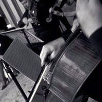 Photograph of Queensland Theatre Orchestra