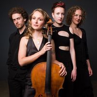 Photograph of Silo String Quartet