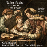 Front cover art for What if a Day or a Month or a Year