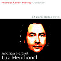 Front cover art for Luz Meridional (Southern Light)