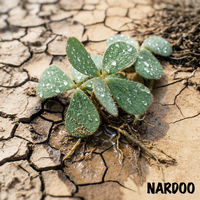 Front cover art for Nardoo