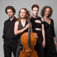 Photograph of Silo String Quartet