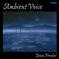 Front cover art for Ambient Voice