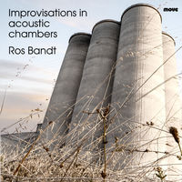 Front cover art for Improvisations in acoustic chambers Front cover art for Improvisations in acoustic chambers