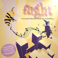Front cover art for Flight Front cover art for Flight