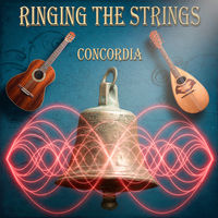 Front cover art for Ringing The Strings Front cover art for Ringing The Strings