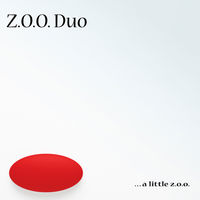 Front cover art for …a little z.o.o.