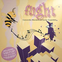 Front cover art for Flight
