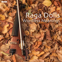 Front cover art for Wordless Meanings