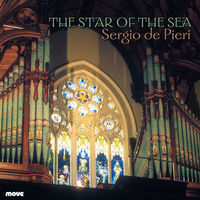 Front cover art for The Star of the Sea