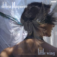 Front cover art for Little Wing Front cover art for Little Wing