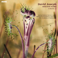 Front cover art for David Joseph Selected Works, Volume 2