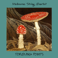 Front cover art for Torquing Points