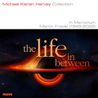 Front cover art for The life in between