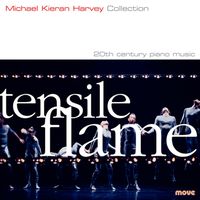 Front cover art for Tensile Flame