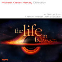 Front cover art for The life in between