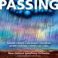 Front cover art for Passing