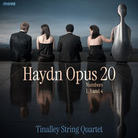 Front cover art for Haydn Opus 20 Front cover art for Haydn Opus 20
