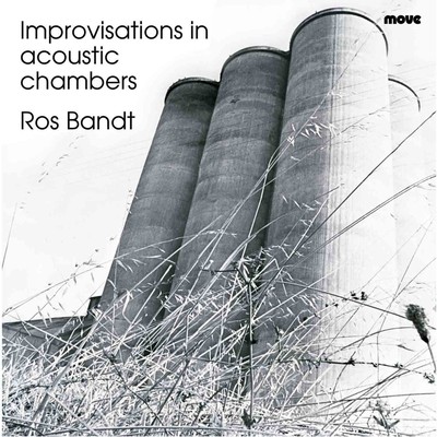Front cover art for Improvisations in acoustic chambers