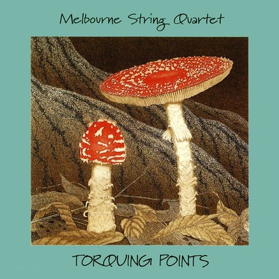 Front cover art for Torquing Points