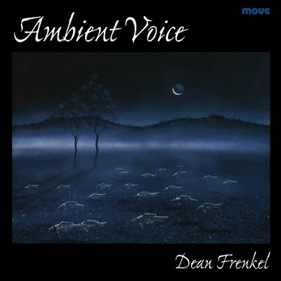 Front cover art for Ambient Voice