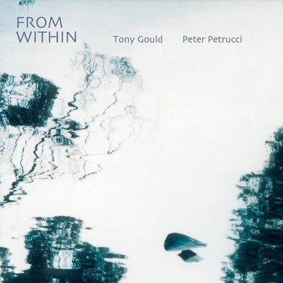 Front cover art for From Within