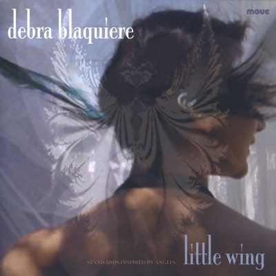 Front cover art for Little Wing