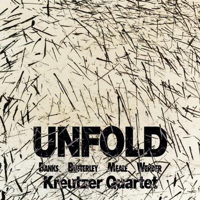 Front cover art for Unfold