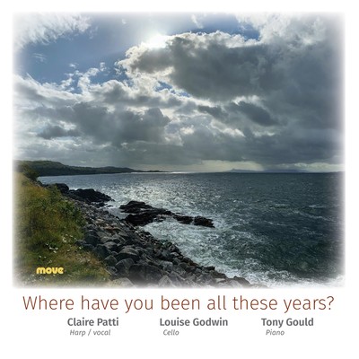 Front cover art for Where have you been all these years?