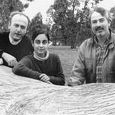 Image: Golden Fleece