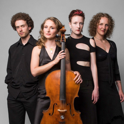 Image: Silo String Quartet