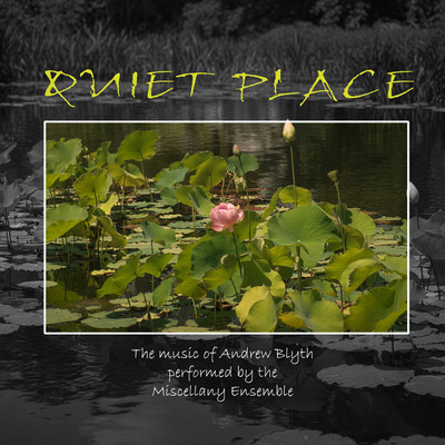 Front cover art for Quiet Place