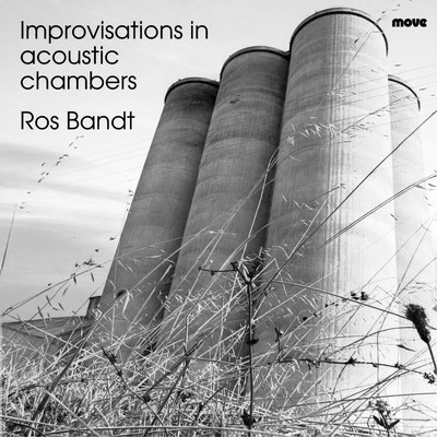 Front cover art for Improvisations in acoustic chambers