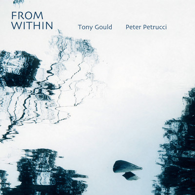 Front cover art for From Within