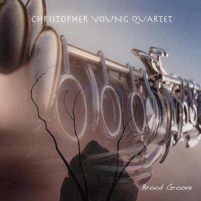 Front cover art for Brood Groove