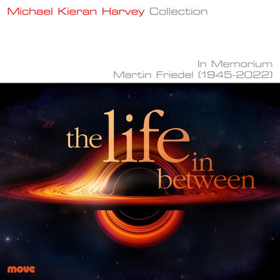 Front cover art for The life in between