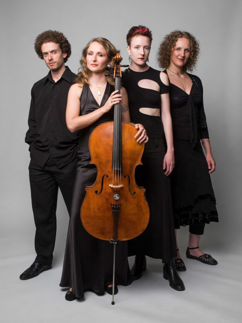Photograph of Silo String Quartet